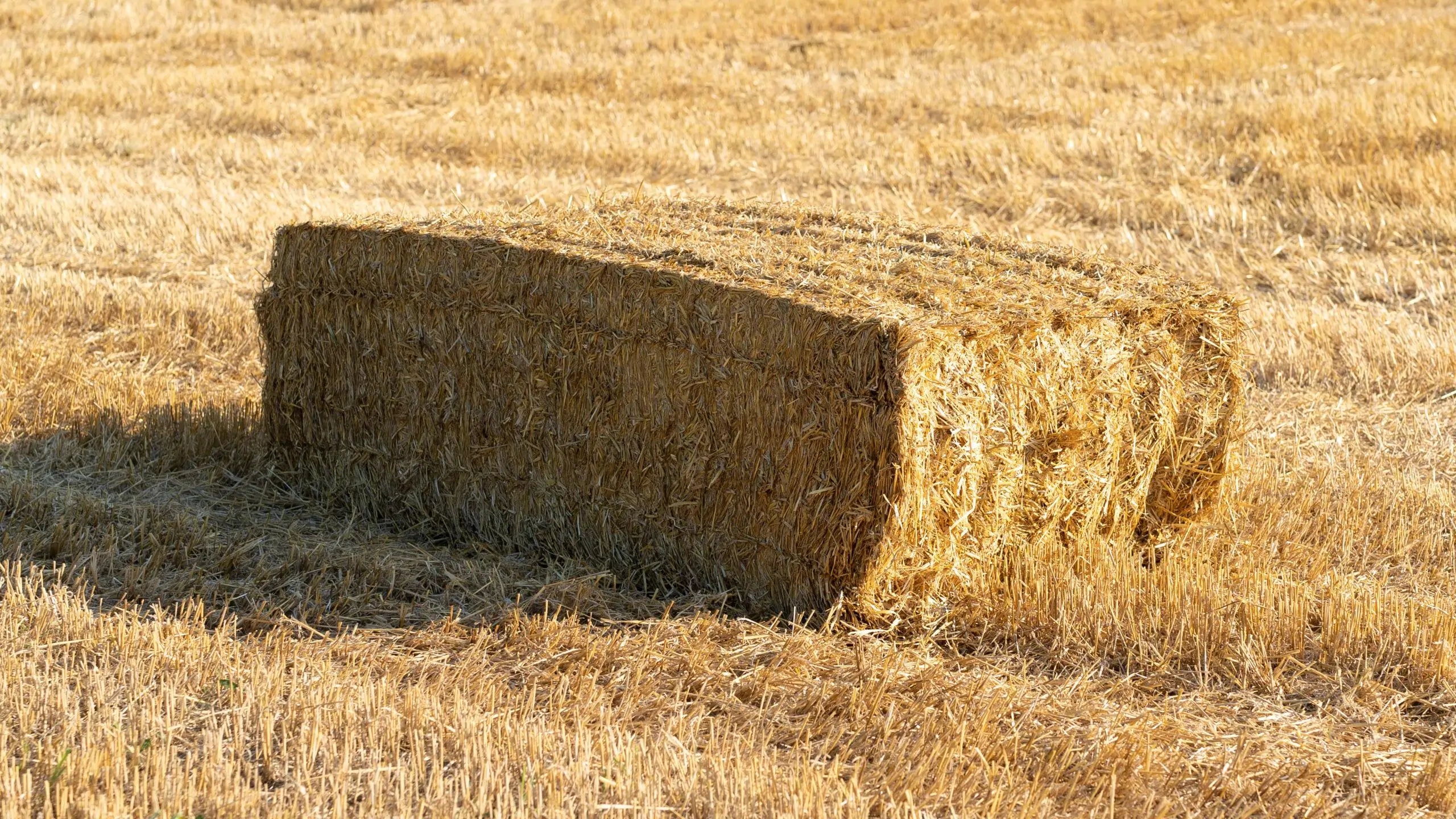 Straw bales: Green building materials