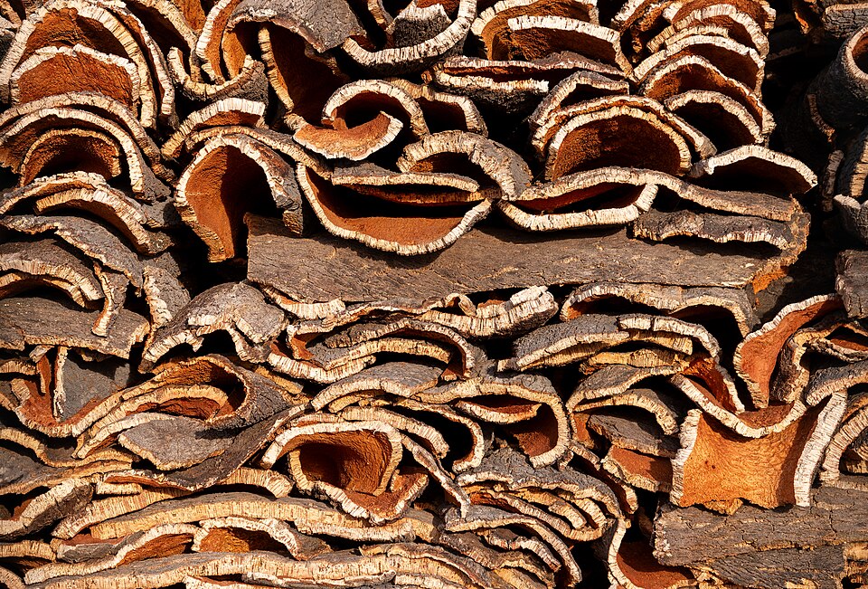 Coark Oak bark: Green building materials