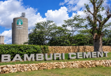 Top 7 Best Cement Companies in Kenya.