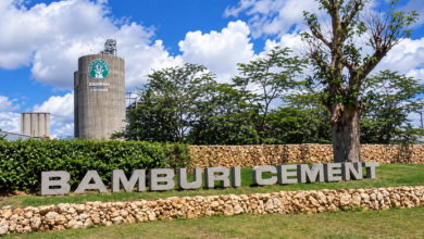 Top 7 Best Cement Companies in Kenya.