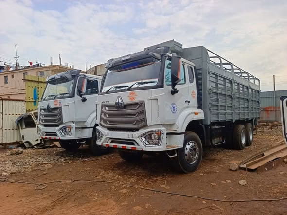 SINOTRUK HOWO Series (336/371/A7/TX)