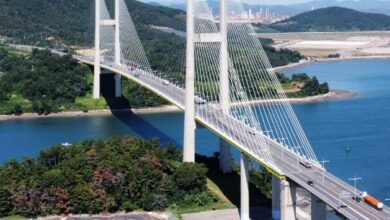 Myo Island cable-stayed bridge. Cable-Stayed Bridges 6 Unique Reasons They're the Fastest-Growing Design