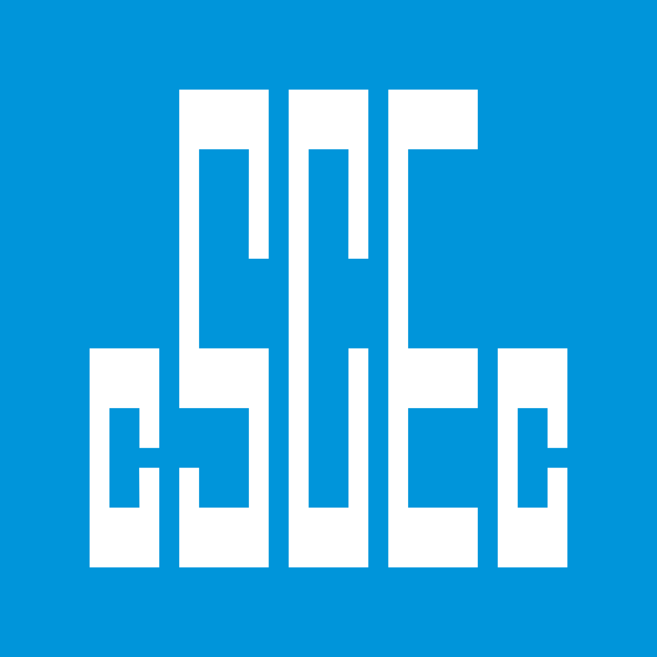 China State Construction Engineering Corporation, Egypt