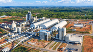 A Dangote Cement plant in Tanzania: The Cement Industry in Africa